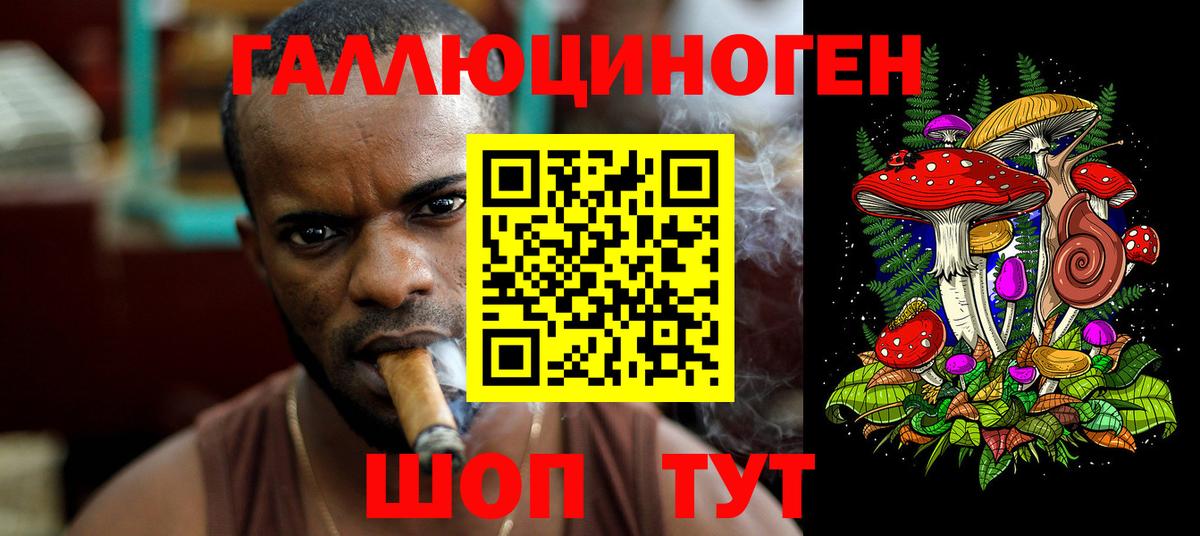 Псилоцибиновые грибы GOLDEN TEACHER  Псилоцибиновые грибы GOLDEN TEACHER  цены   Вход с VPN  Абакан 