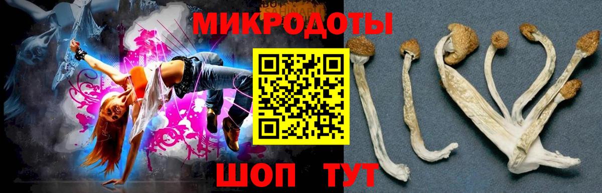 Галлюциногенные грибы Magic Shrooms Абакан